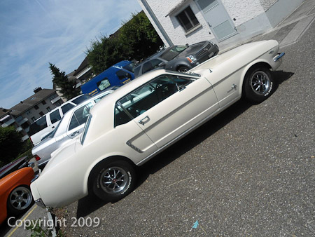 DSC-W510- 1/250 Sek. bei f / 8,0- 122