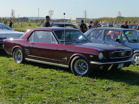 DMC-TZ31- 1/800 Sek. bei f / 4,8- 122
