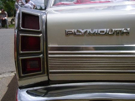 CX2- 1/500 Sek. bei f / 8,0- 76