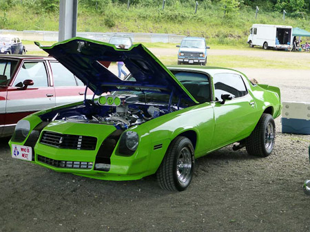 DMC-TZ31- 1/200 Sek. bei f / 4,7- 256