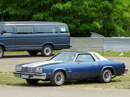 DMC-TZ31- 1/500 Sek. bei f / 5,5- 256