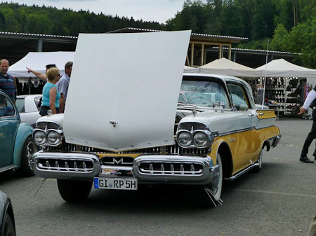 DMC-TZ31- 1/1000 Sek. bei f / 5,6- 256