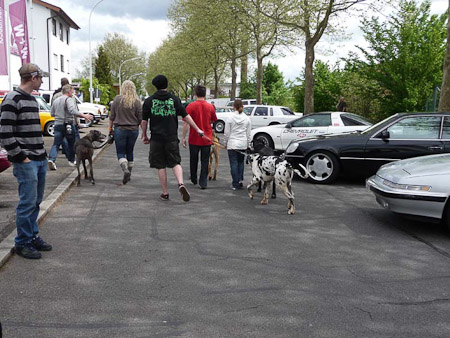 DMC-TZ5- 1/500 Sek. bei f / 3,8- 82