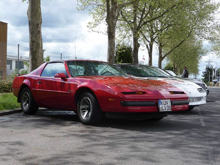 DMC-TZ5- 1/400 Sek. bei f / 4,5- 82