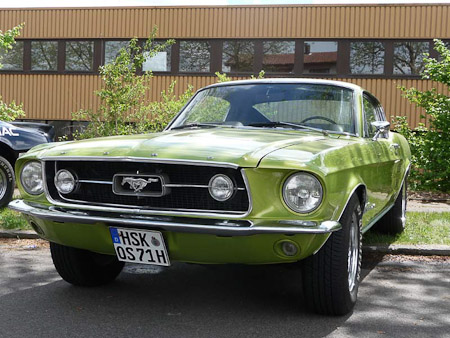 DMC-TZ5- 1/400 Sek. bei f / 4,2- 82