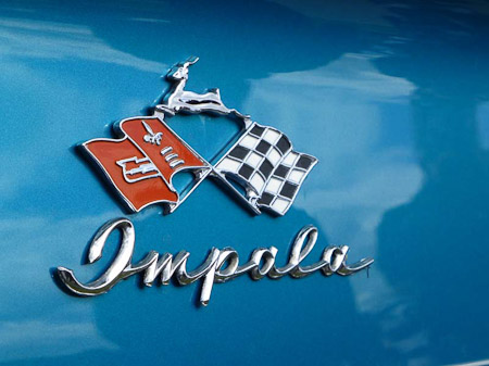 DMC-TZ31- 1/400 Sek. bei f / 5,3- 307