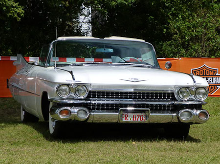 DMC-TZ31- 1/1250 Sek. bei f / 5,4- 307