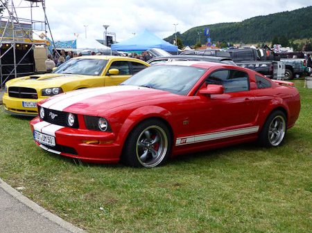 DMC-TZ31- 1/400 Sek. bei f / 3,9- 307