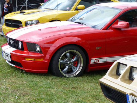 DMC-TZ31- 1/200 Sek. bei f / 5,2- 307