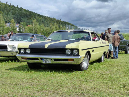 DMC-TZ31- 1/1000 Sek. bei f / 4,6- 307