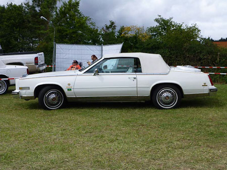 DMC-TZ31- 1/640 Sek. bei f / 4,4- 307