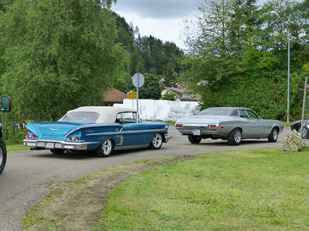 DMC-TZ31- 1/200 Sek. bei f / 4,8- 307