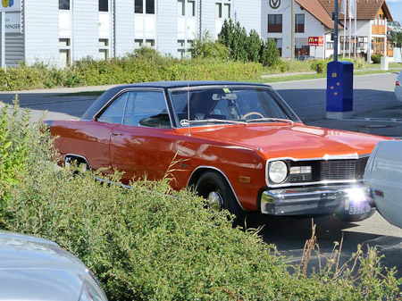 DMC-TZ31- 1/500 Sek. bei f / 5,0- 307