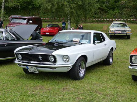 DMC-TZ31- 1/500 Sek. bei f / 3,9- 307