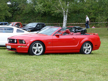 DMC-TZ31- 1/250 Sek. bei f / 5,0- 307