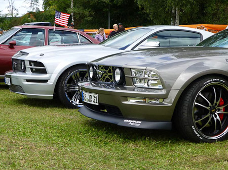 DMC-TZ31- 1/250 Sek. bei f / 4,9- 307