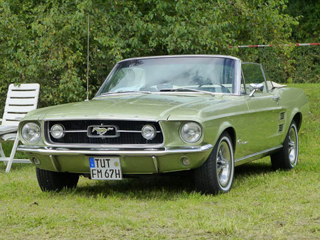 DMC-TZ31- 1/320 Sek. bei f / 5,3- 307