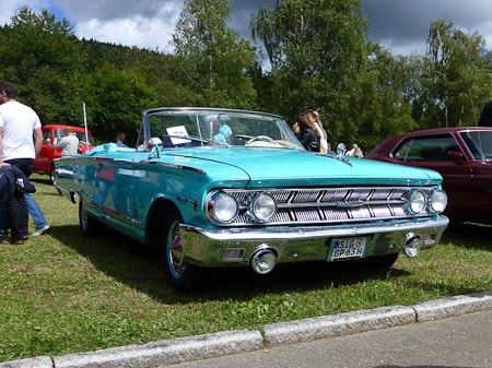 DMC-TZ31- 1/1250 Sek. bei f / 3,7- 307