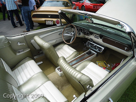 DSC-W510- 1/1000 Sek. bei f / 2,8- 431