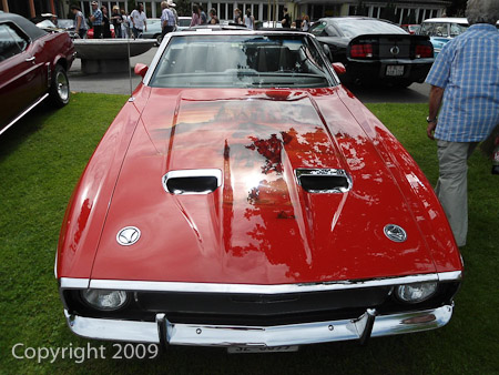 DSC-W510- 1/200 Sek. bei f / 8,0- 431