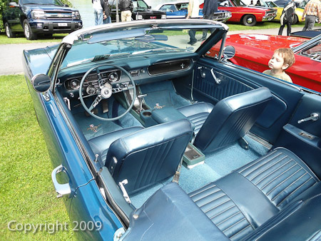 DSC-W510- 1/250 Sek. bei f / 2,8- 431