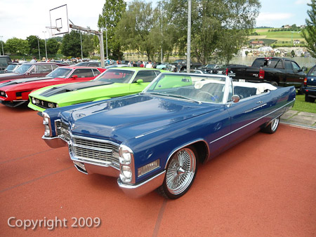 DSC-W510- 1/500 Sek. bei f / 2,8- 431