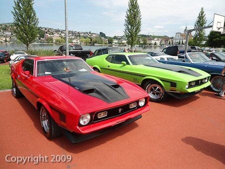 DSC-W510- 1/1000 Sek. bei f / 2,8- 431