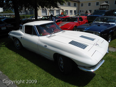 DSC-W510- 1/320 Sek. bei f / 8,0- 431