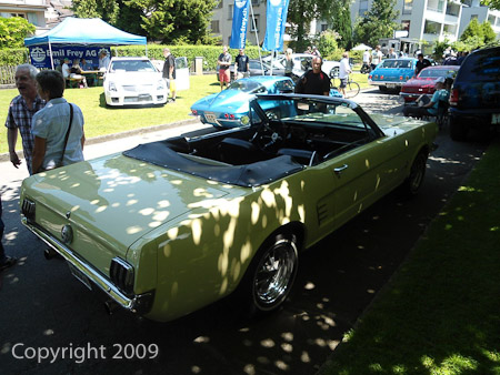 DSC-W510- 1/320 Sek. bei f / 2,8- 431