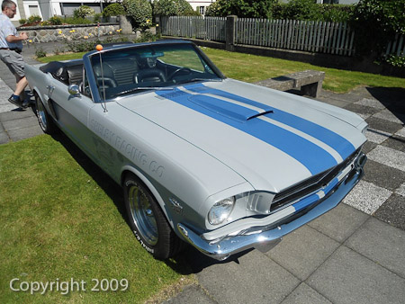 DSC-W510- 1/250 Sek. bei f / 8,0- 431