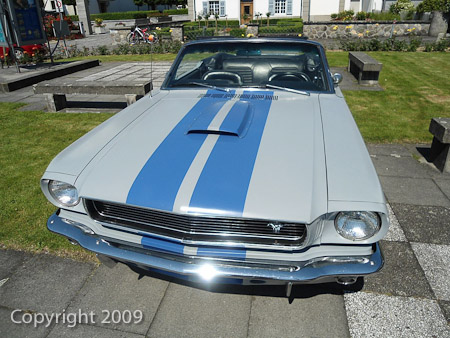 DSC-W510- 1/250 Sek. bei f / 8,0- 431