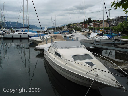 DSC-W510- 1/200 Sek. bei f / 8,0- 431