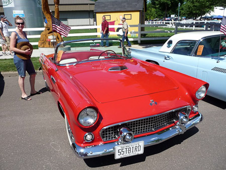 DMC-TZ5- 1/250 Sek. bei f / 8,0- 498