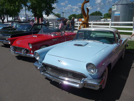 DMC-TZ5- 1/640 Sek. bei f / 8,0- 498