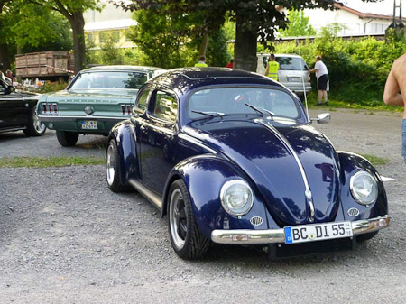 DMC-TZ31- 1/250 Sek. bei f / 4,4- 81