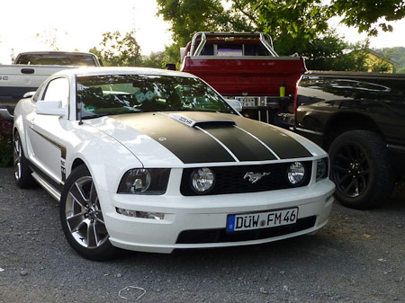 DMC-TZ31- 1/100 Sek. bei f / 4,1- 81