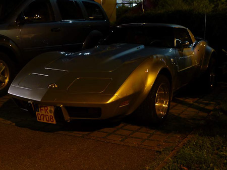 DMC-TZ31- 8,0 Sek. bei f / 4,4- 63