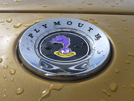 DMC-TZ5- 1/250 Sek. bei f / 9,0- 88