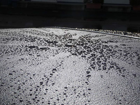 DMC-TZ5- 1/640 Sek. bei f / 11- 88