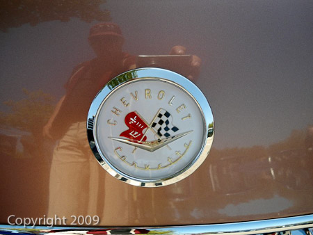 DSC-W510- 1/320 Sek. bei f / 2,8- 236