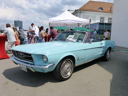 DMC-TZ31- 1/2000 Sek. bei f / 3,4- 189