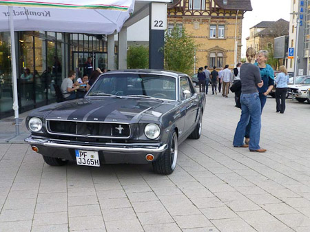 DMC-TZ31- 1/125 Sek. bei f / 3,9- 50