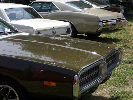 EX-Z700- 1/320 Sek. bei f / 6,5- 112