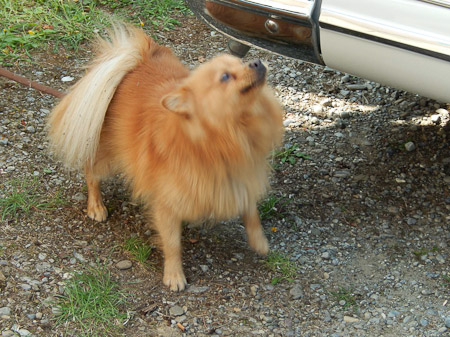 COOLPIX S9500- 1/100 Sek. bei f / 5,3- 226