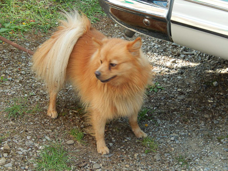 COOLPIX S9500- 1/100 Sek. bei f / 5,3- 226