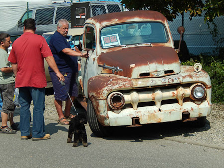 COOLPIX S9500- 1/800 Sek. bei f / 5,3- 226