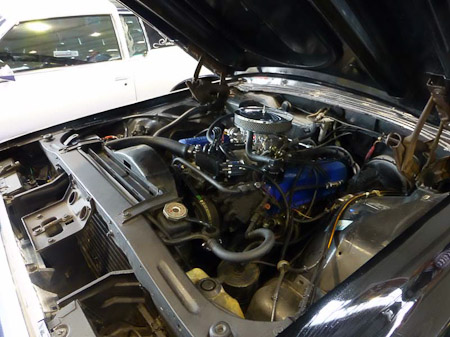 DMC-TZ31- 1/8 Sek. bei f / 3,3- 236