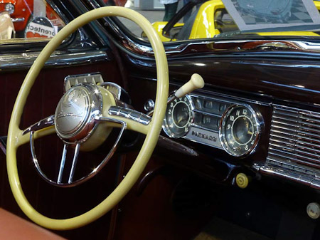 DMC-TZ31- 1/4 Sek. bei f / 5,0- 236