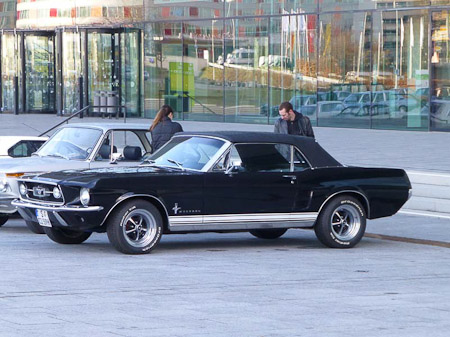DMC-TZ31- 1/80 Sek. bei f / 5,3- 236