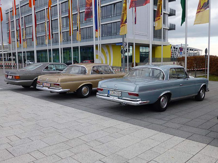 DMC-TZ31- 1/250 Sek. bei f / 4,0- 236